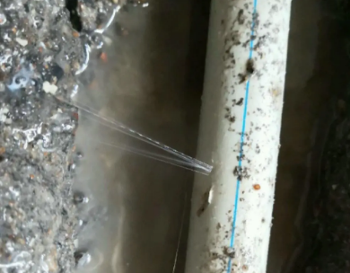 七星关测漏水哪家好