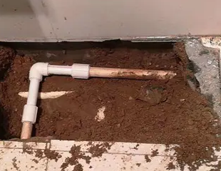 七星关测漏水哪家好