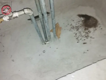 七星关卫生间测漏水价格明细