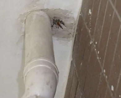 七星关漏水检测哪家好